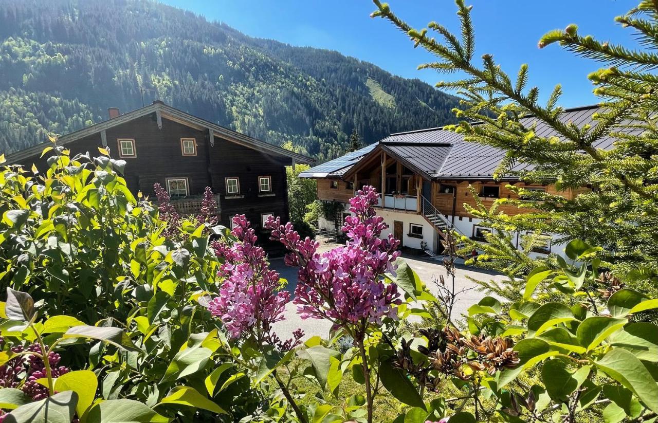 Appartement Arlerhof à Untertauern Extérieur photo