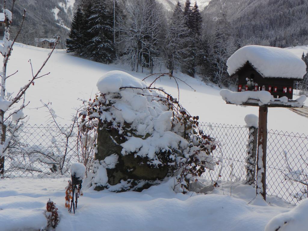 Appartement Arlerhof à Untertauern Extérieur photo